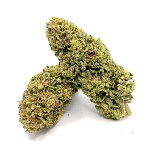 Pink Kush Cannabis Strain - Image 2