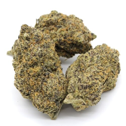 Purple Dogbud Marijuana Strain - Image 2