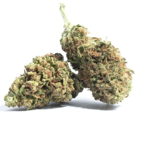 Raspberry Diesel Weed Strain - Image 2