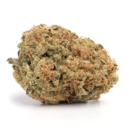 Rockbud Cannabis Strain