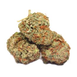 Rockbud Cannabis Strain