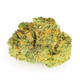 Silver Hawk Marijuana Strain