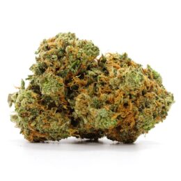 Silver Hawk Marijuana Strain