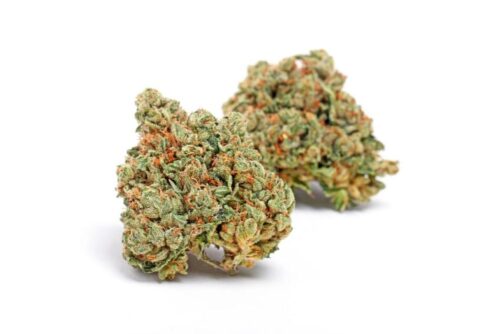 Skywalker OG Cannabis Strain UK - Image 2