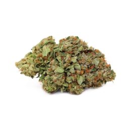 Star Killer Weed Strain