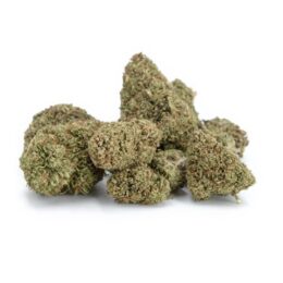 Star Killer Weed Strain