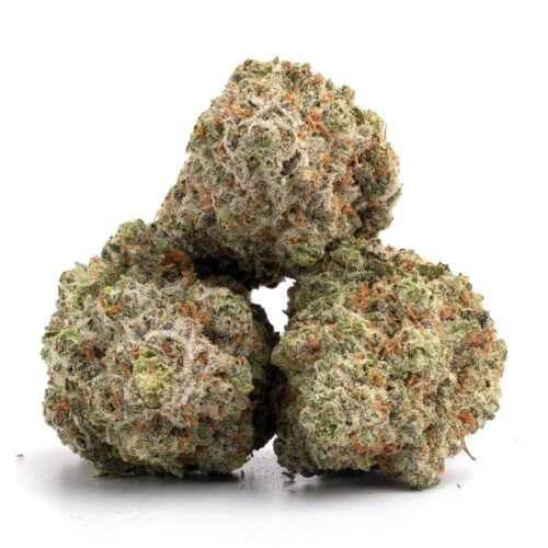 Starburst OG Marijuana Strain - Image 2