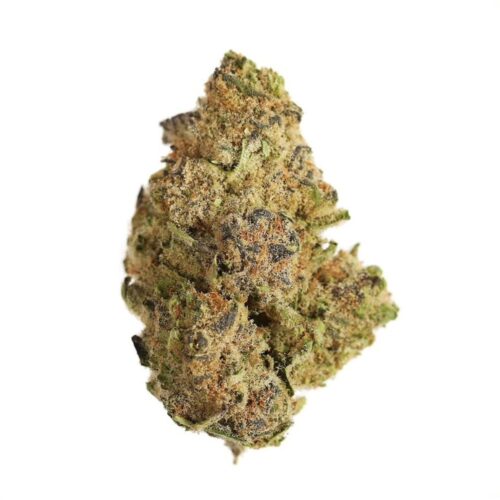 stardawg-og-marijuana-strain