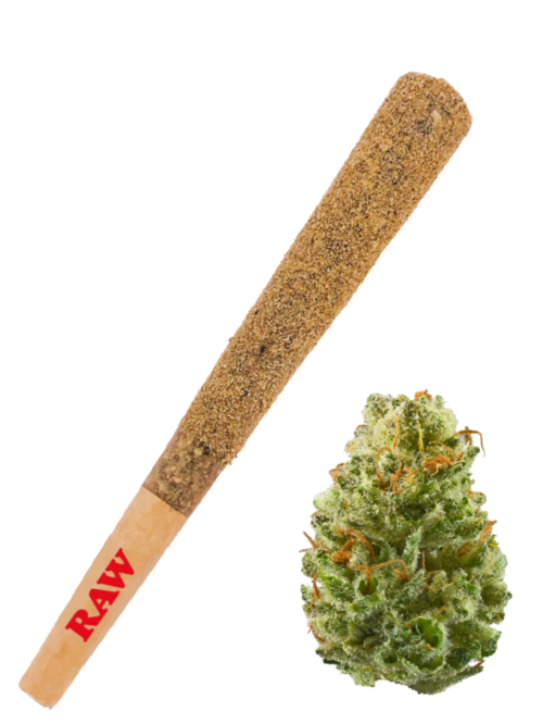 Exotic Pre Rolls Joints Bundle - Image 8