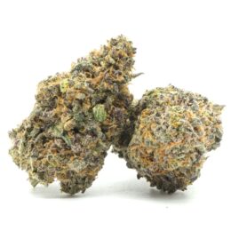 Sunset Sherbet Marijuana Strain