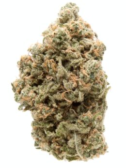 Tropicana Banana Weed Strain