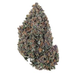 Tropicanna Poison Marijuana Strain