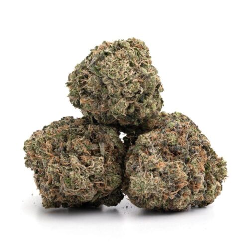 Tropicanna Poison Marijuana Strain - Image 2