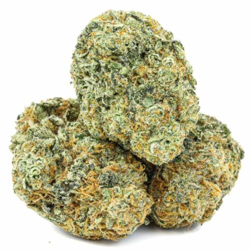 white-fire-og-weed-strain