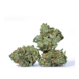 White Rhino Marijuana Strain