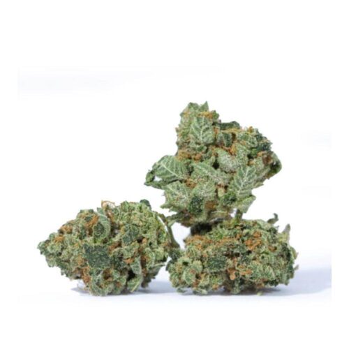 White Rhino Marijuana Strain - Image 2