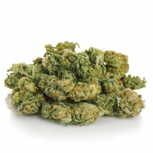 Yellow Zushi Weed Strain - Image 2